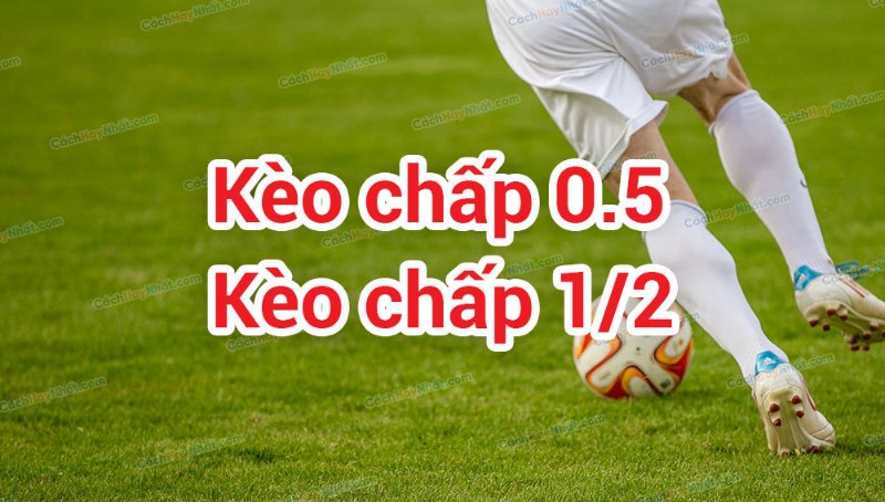 kèo chấp 1/2 nửa trái