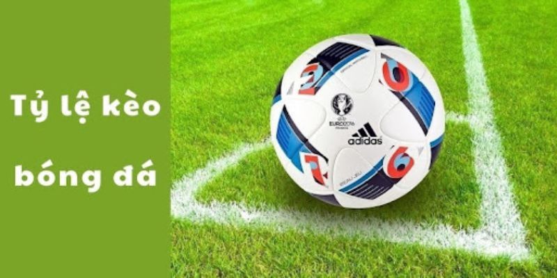 tỷ lệ cá cược bóng đá 388bet